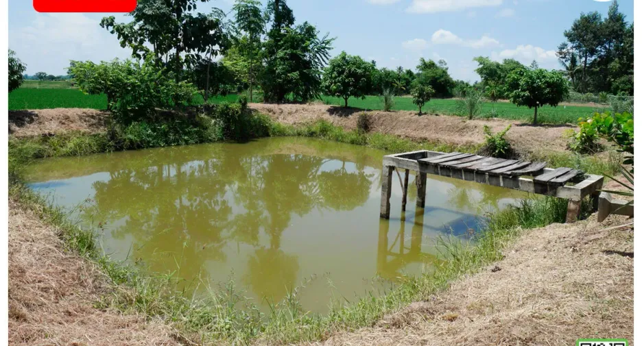 For sale 2 bedrooms house in Phichai, Uttaradit