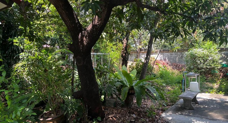 For sale land in Watthana, Bangkok