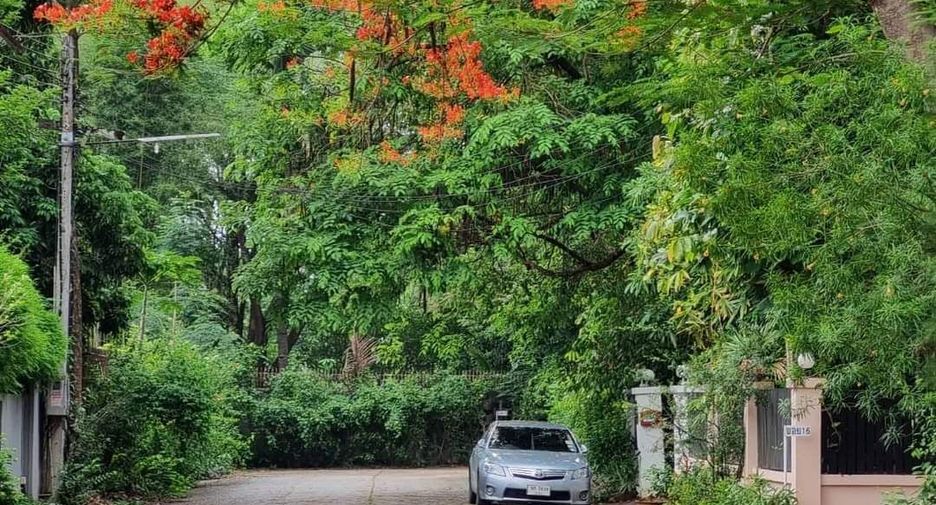 Продажа Участок в Mueang Chiang Mai, Чианг Маи