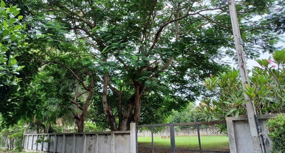 Продажа Участок в Mueang Chiang Mai, Чианг Маи