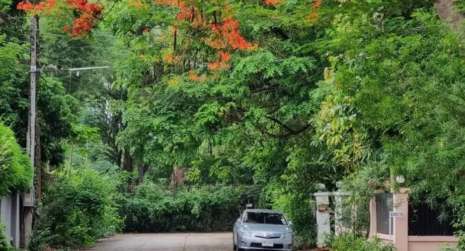 For sale land in Mueang Chiang Mai, Chiang Mai