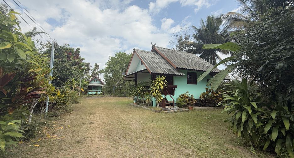 For sale land in Pai, Mae Hong Son