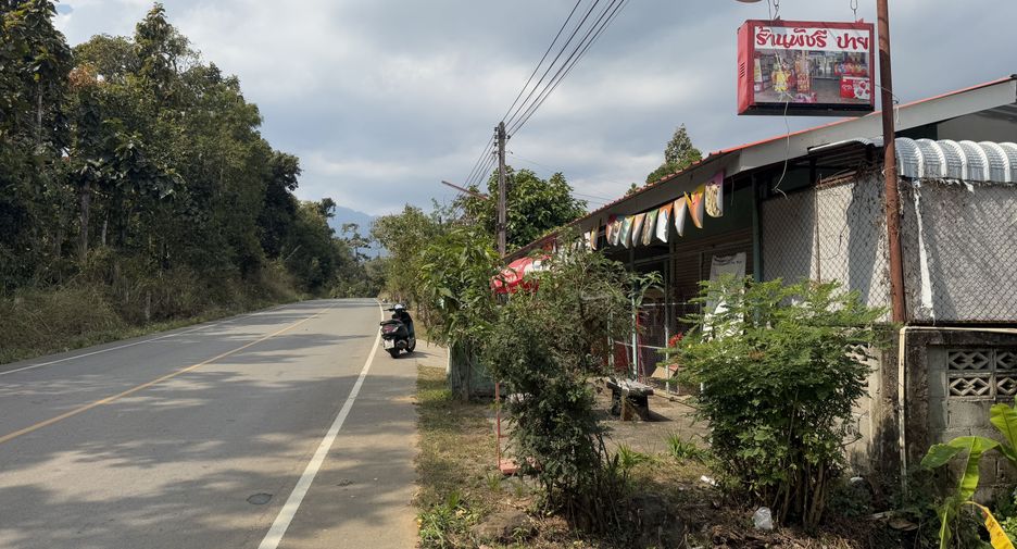 For sale land in Pai, Mae Hong Son