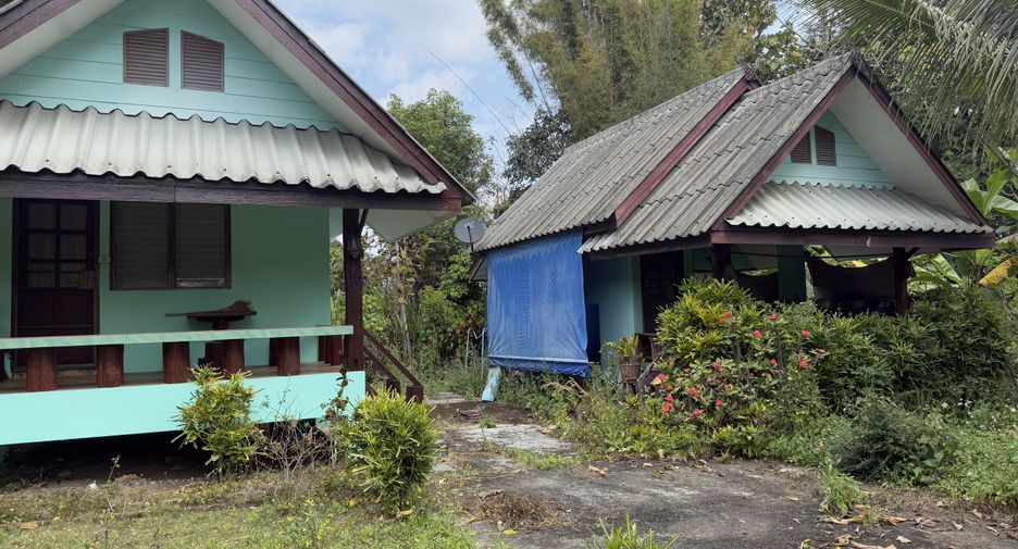 For sale land in Pai, Mae Hong Son