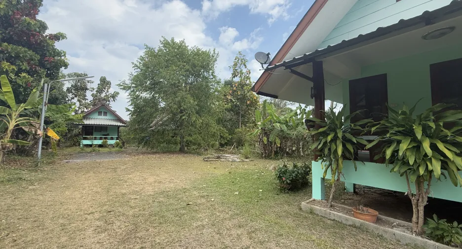 For sale land in Pai, Mae Hong Son