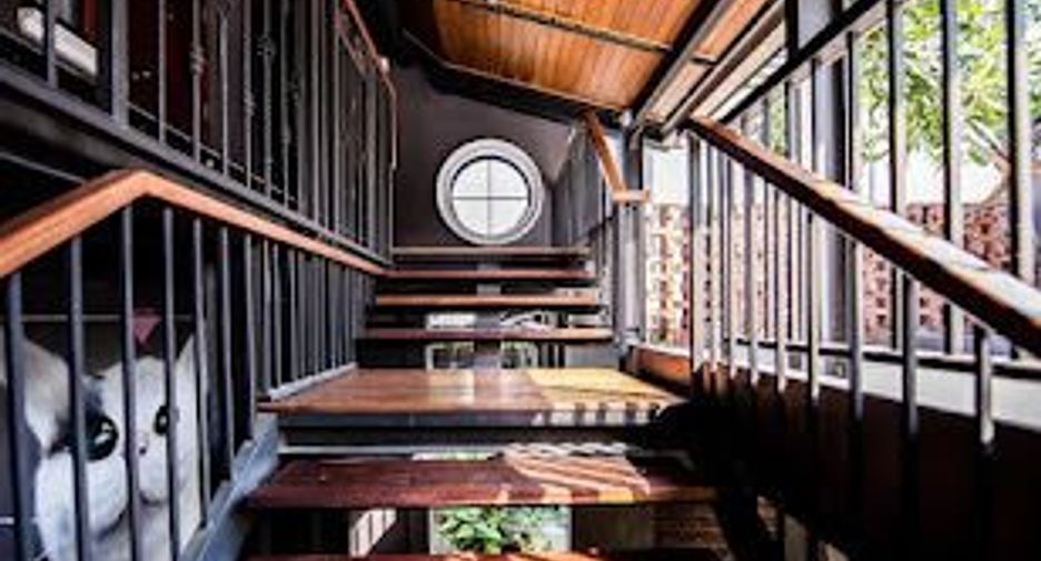 À vendre et à louer 18 chambres hôtel à Mueang Chiang Mai, Chiang Mai