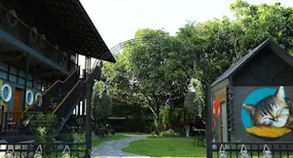 Продажа и аренда 18 спальни отель в Mueang Chiang Mai, Чианг Маи