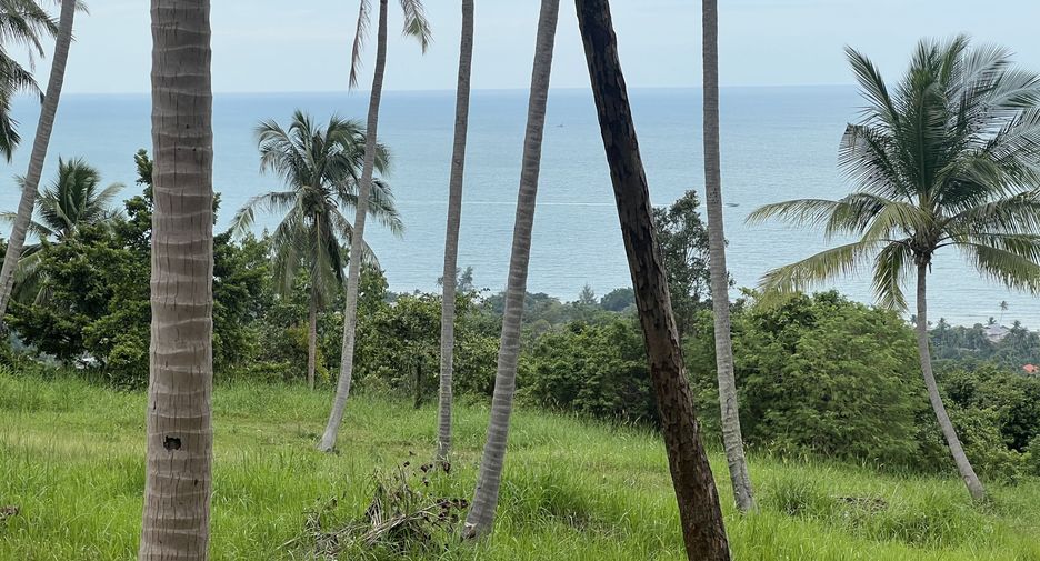 For sale land in Ko Samui, Surat Thani
