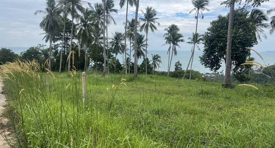 For sale land in Ko Samui, Surat Thani