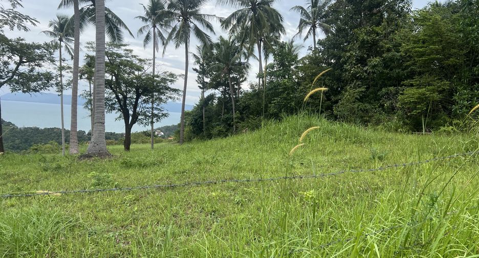 For sale land in Ko Samui, Surat Thani