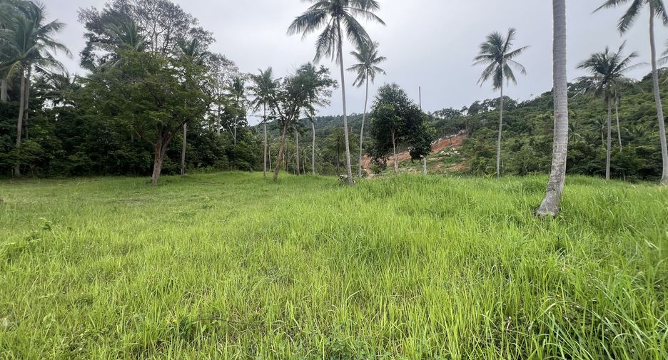 For sale land in Ko Samui, Surat Thani