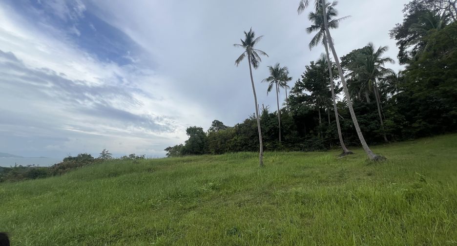 For sale land in Ko Samui, Surat Thani