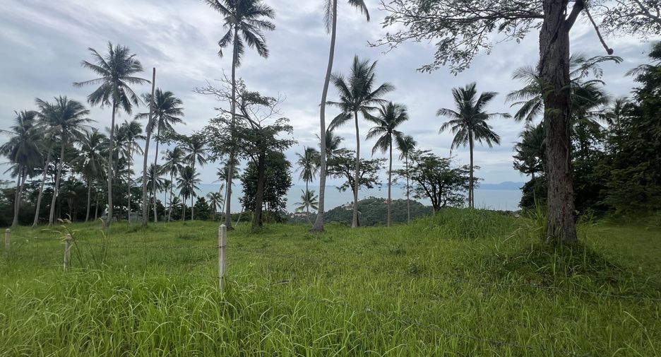 For sale land in Ko Samui, Surat Thani