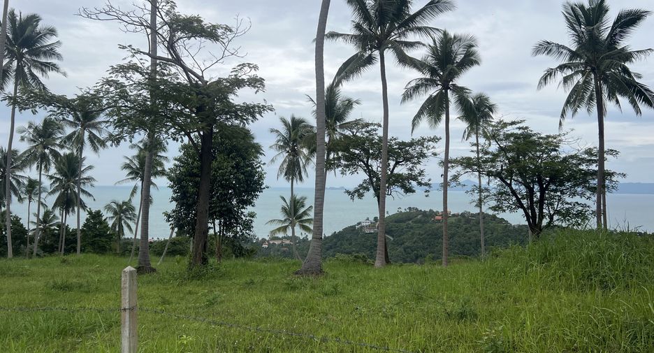 For sale land in Ko Samui, Surat Thani