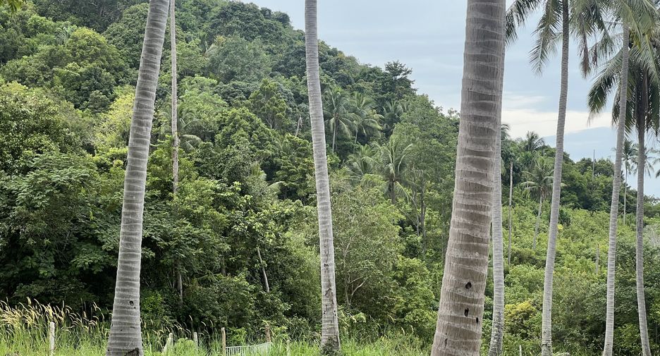 For sale land in Ko Samui, Surat Thani