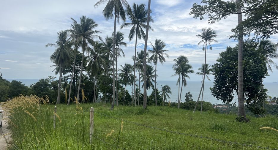 For sale land in Ko Samui, Surat Thani