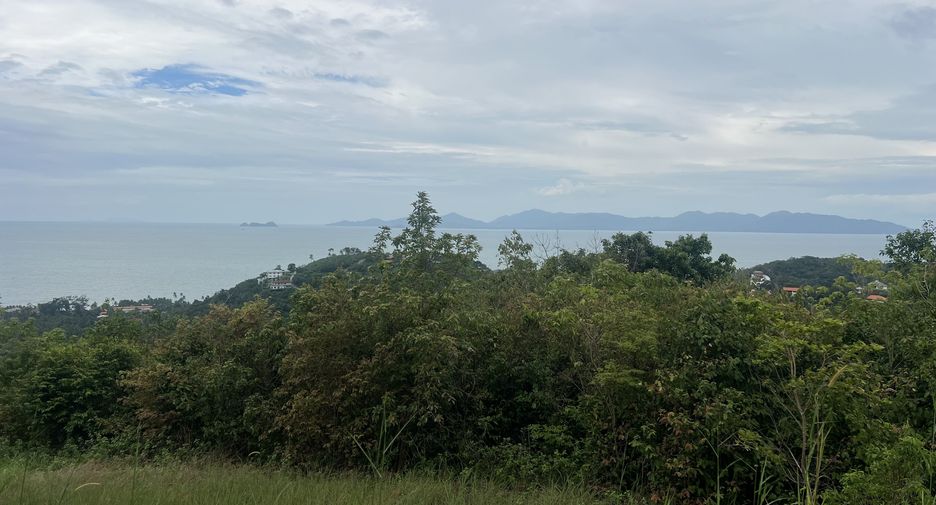 For sale land in Ko Samui, Surat Thani