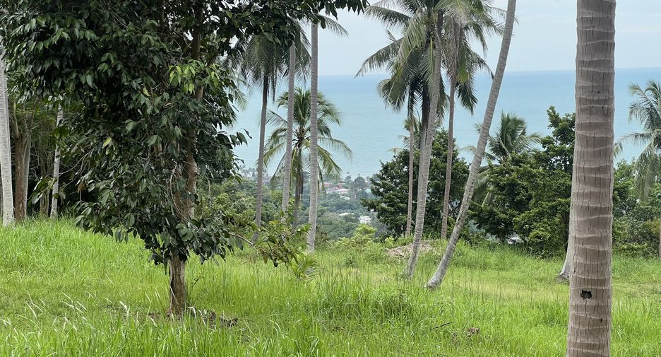 For sale land in Ko Samui, Surat Thani