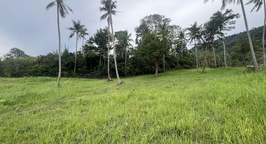 For sale land in Ko Samui, Surat Thani