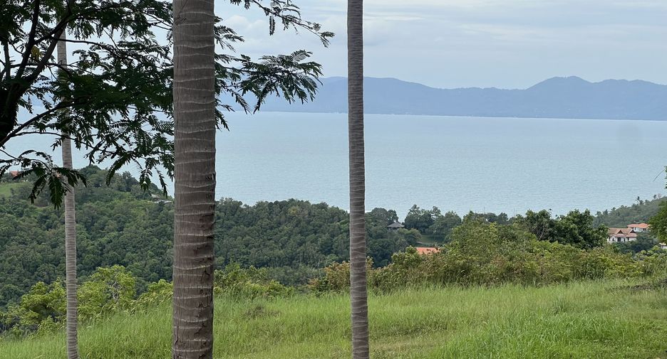 For sale land in Ko Samui, Surat Thani