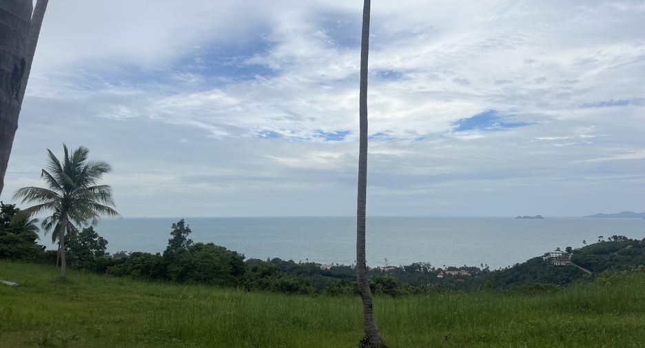 For sale land in Ko Samui, Surat Thani