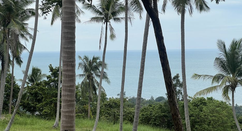 For sale land in Ko Samui, Surat Thani
