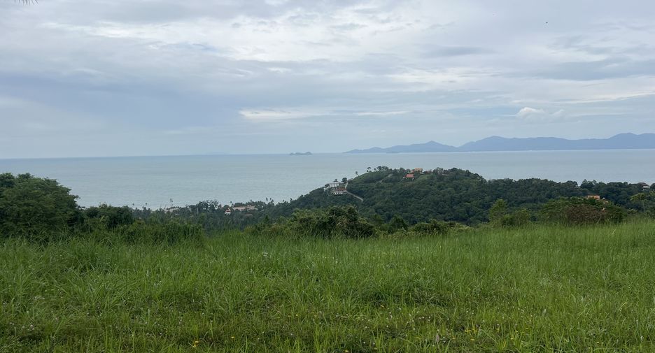 For sale land in Ko Samui, Surat Thani