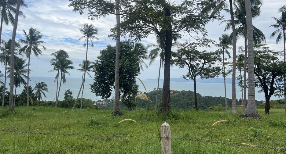 For sale land in Ko Samui, Surat Thani