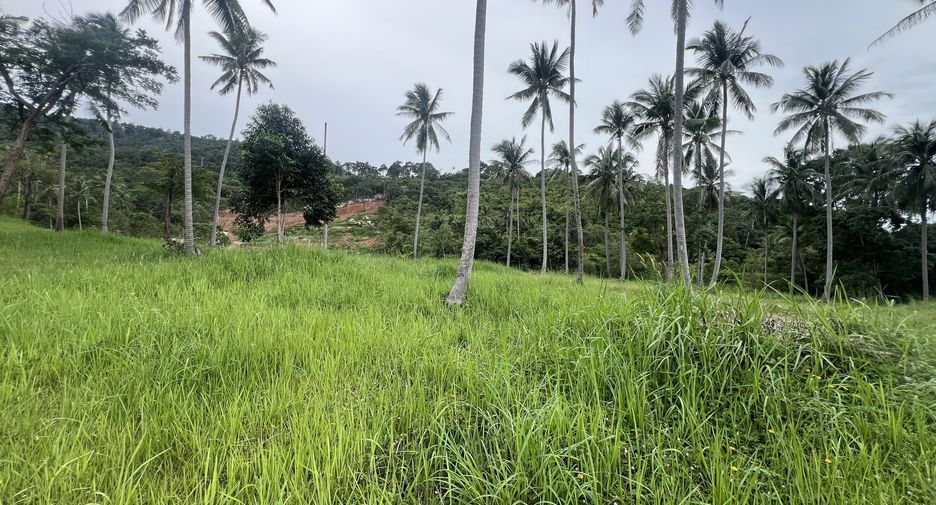 For sale land in Ko Samui, Surat Thani