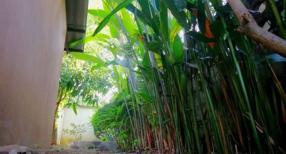 Casa en alquiler de 5 habitaciones en Mueang Chiang Mai, Chiang Mai