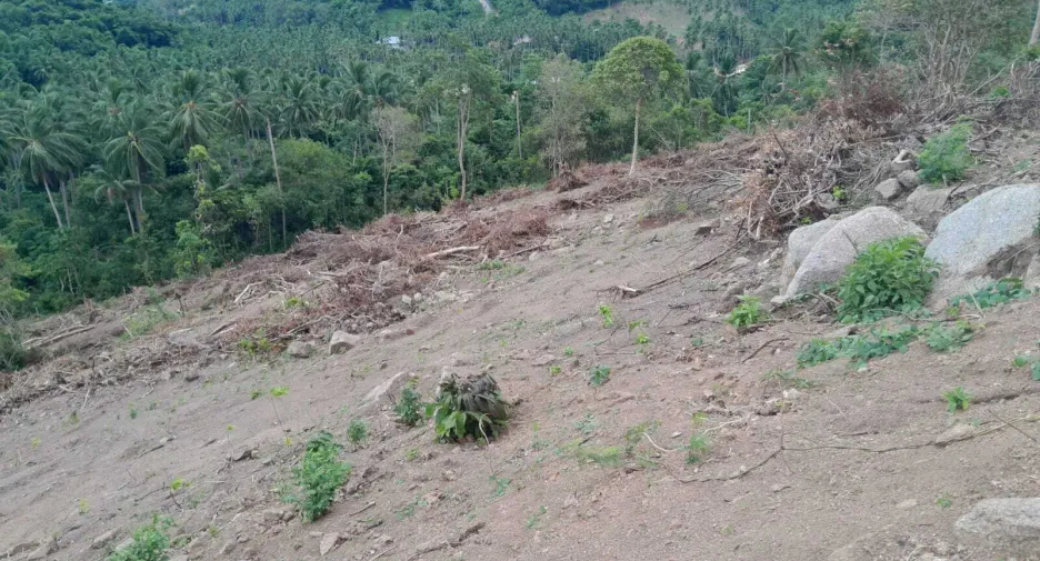 For sale land in Ko Samui, Surat Thani