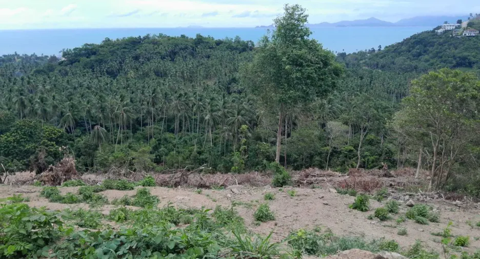 For sale land in Ko Samui, Surat Thani