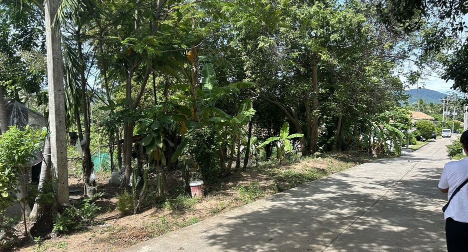 ขาย ที่ดิน ใน เกาะสมุย, สุราษฎร์ธานี
