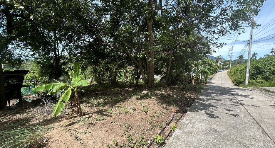 ขาย ที่ดิน ใน เกาะสมุย, สุราษฎร์ธานี