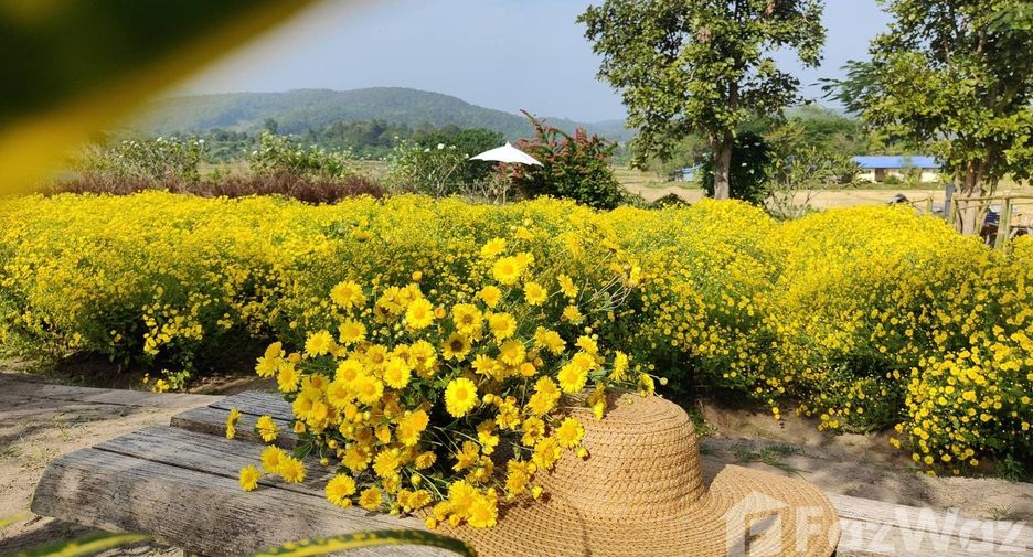 Villa zum Kauf mit 2 Zimmer in Mae Rim, Chiang Mai