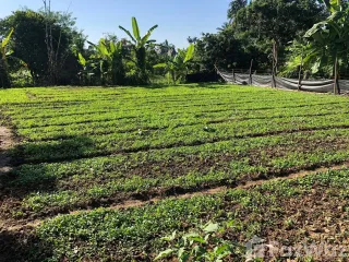 À vendre terrain à Saraphi, Chiang Mai