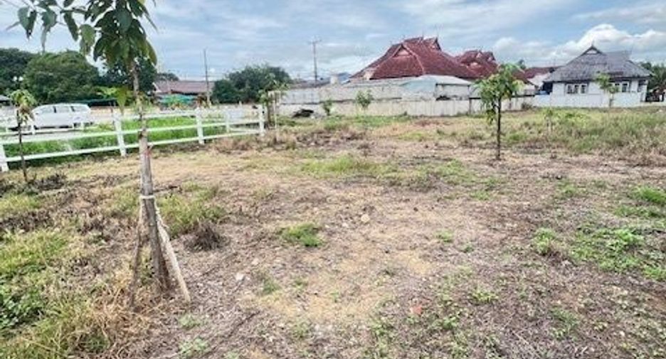 For sale land in San Pa Tong, Chiang Mai