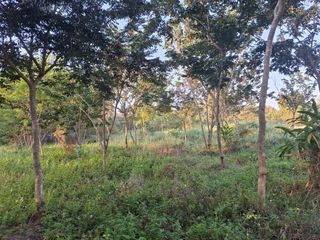 For sale land in San Pa Tong, Chiang Mai