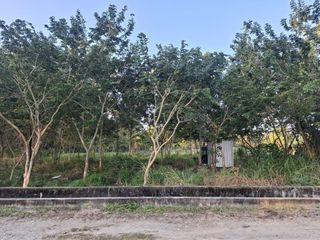 For sale land in San Pa Tong, Chiang Mai