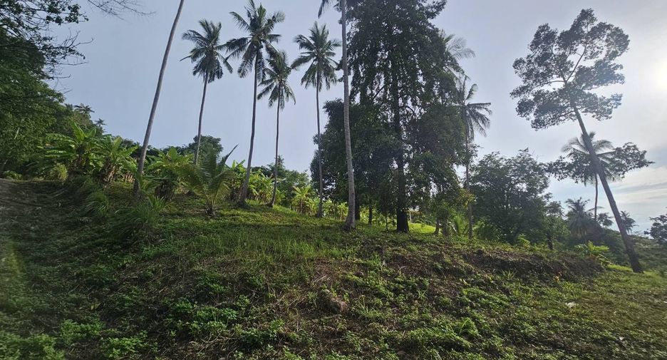 For sale land in Ko Samui, Surat Thani