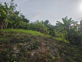 For sale land in Ko Samui, Surat Thani