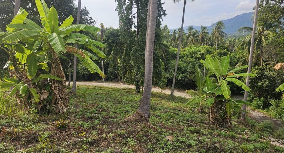 For sale land in Ko Samui, Surat Thani