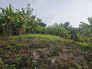 For sale land in Ko Samui, Surat Thani