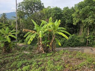 For sale land in Ko Samui, Surat Thani