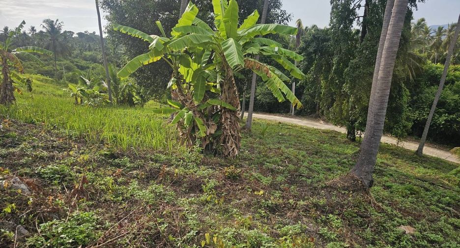 For sale land in Ko Samui, Surat Thani