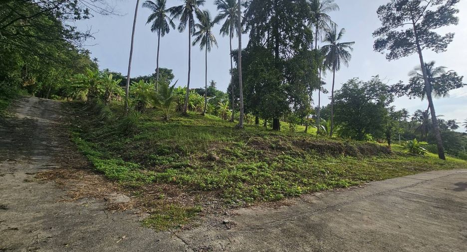 For sale land in Ko Samui, Surat Thani