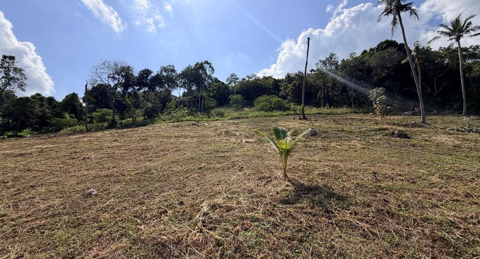 Terreno en venta en Ko Samui, Surat Thani