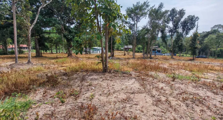 For sale land in Ko Samui, Surat Thani