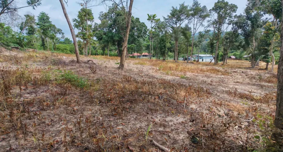 For sale land in Ko Samui, Surat Thani