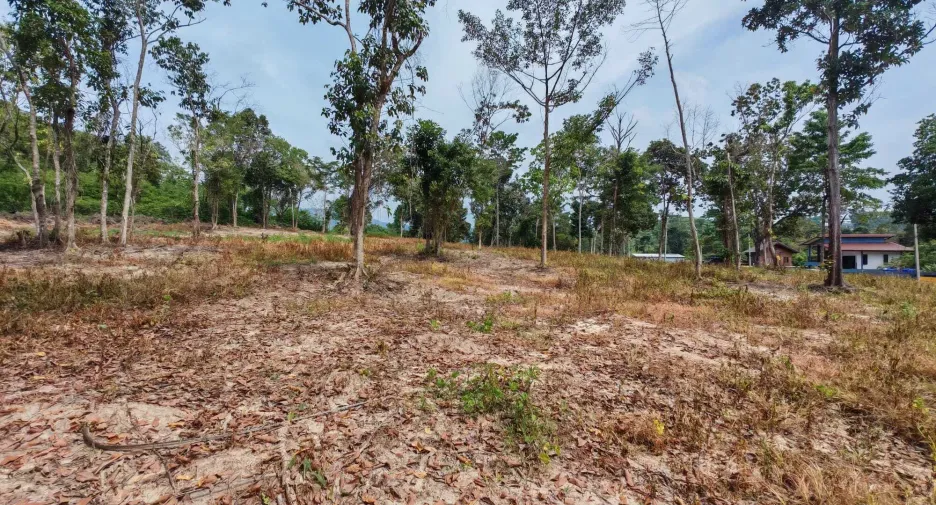 For sale land in Ko Samui, Surat Thani